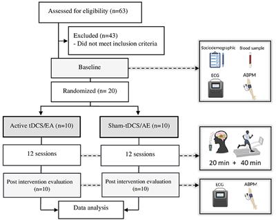 A pilot randomized controlled trial of transcranial direct current stimulation adjunct to moderate-intensity aerobic exercise in hypertensive individuals